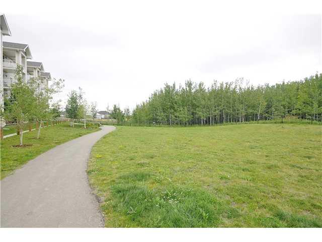 Bridlewood Calgary Homes