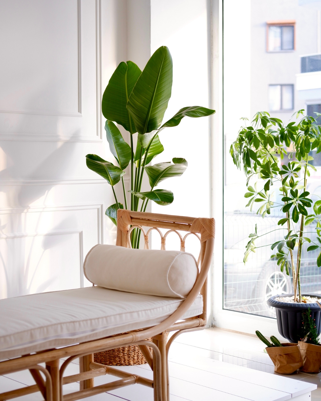 Douglasdale Real Estate