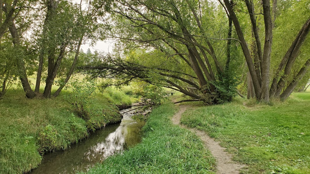 Cambrian Heights Realtor