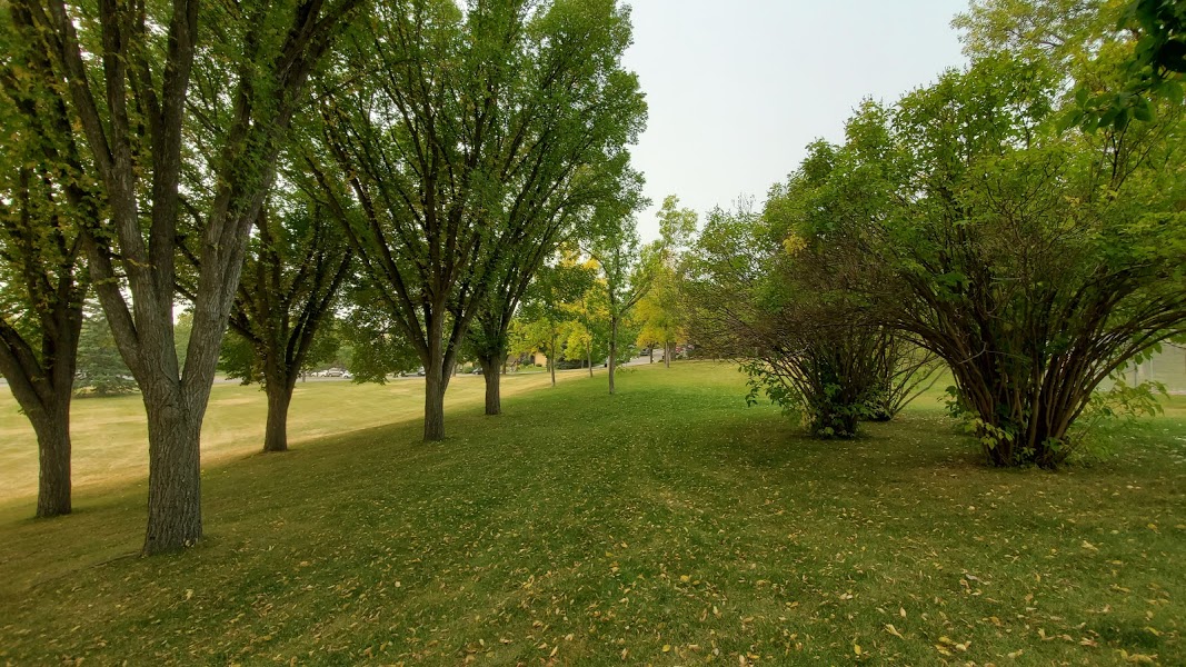 Cambrian Heights Realtor