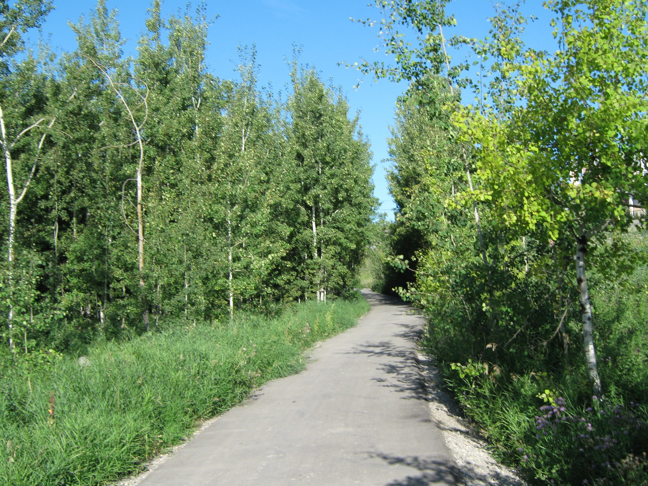 Chaparral Real Estate