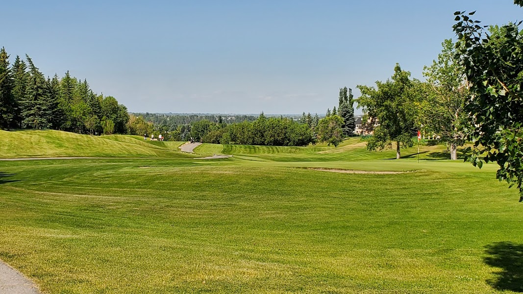 Douglasdale Douglas Glen Realtor