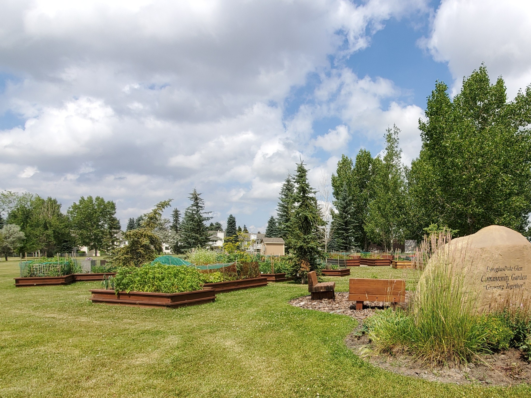 Douglasdale Douglas Glen Realtor