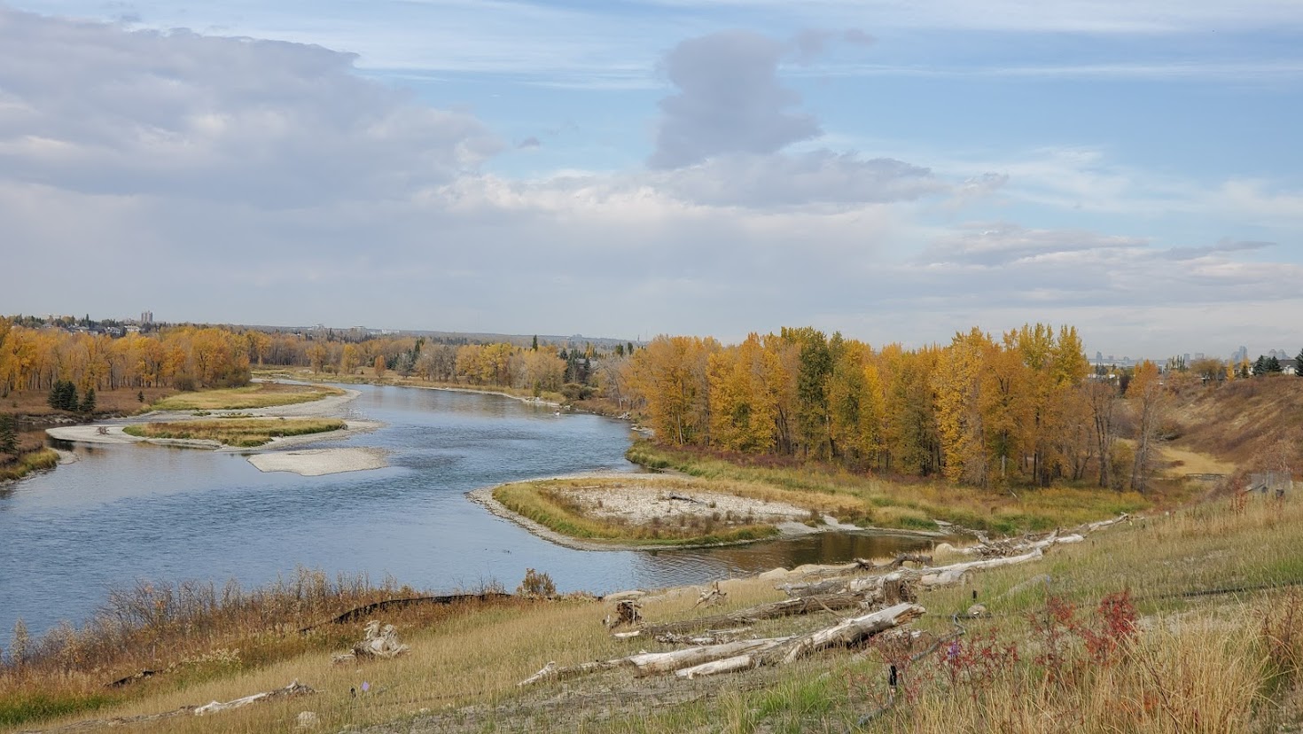 New Brighton Realtor 