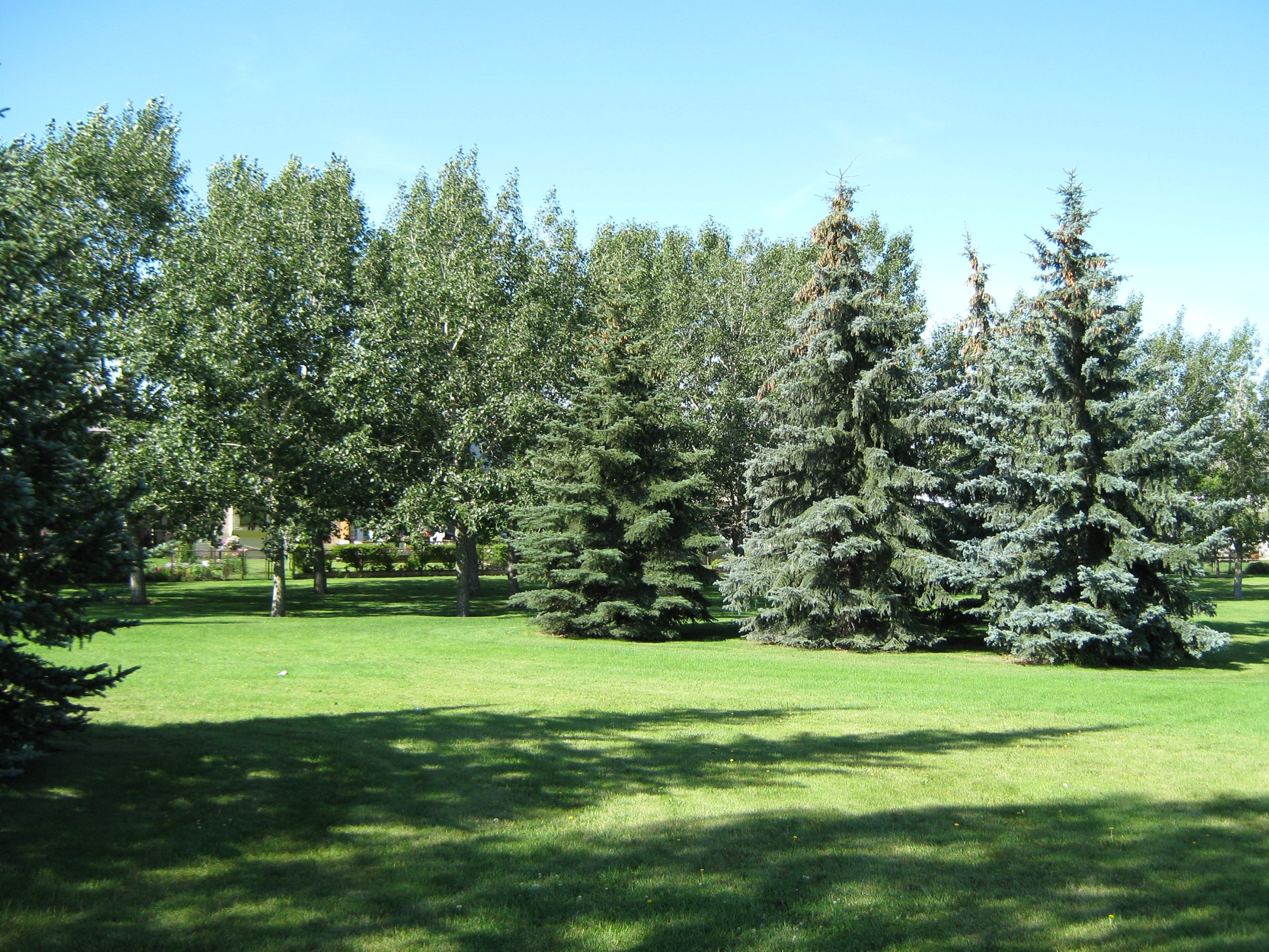 Douglasdale Douglas Glen Realtor