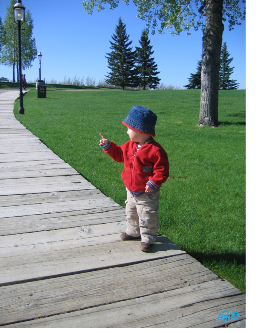 Haysboro Real Estate