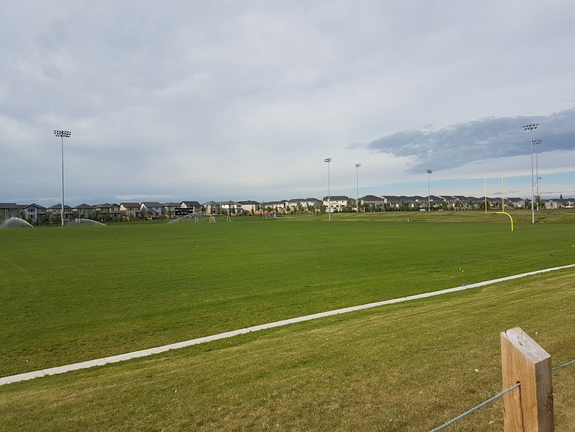 New Brighton Realtor 