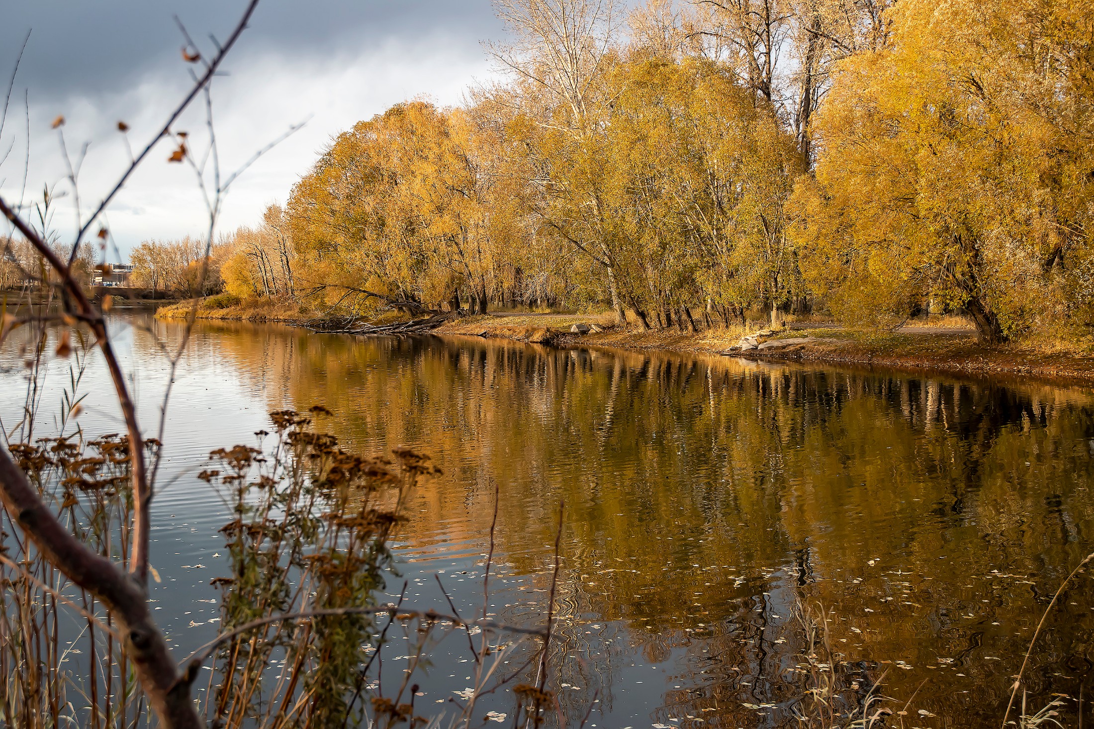 Riverbend Real Estate 