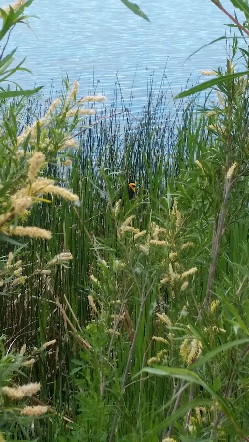 Riverbend Homes for Sale