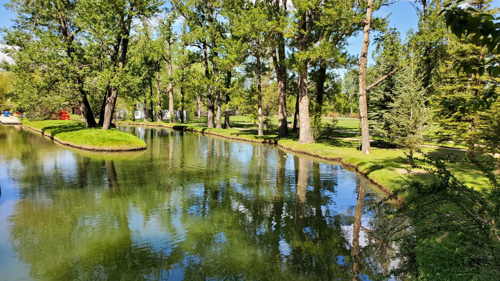 Bowness Calgary homes