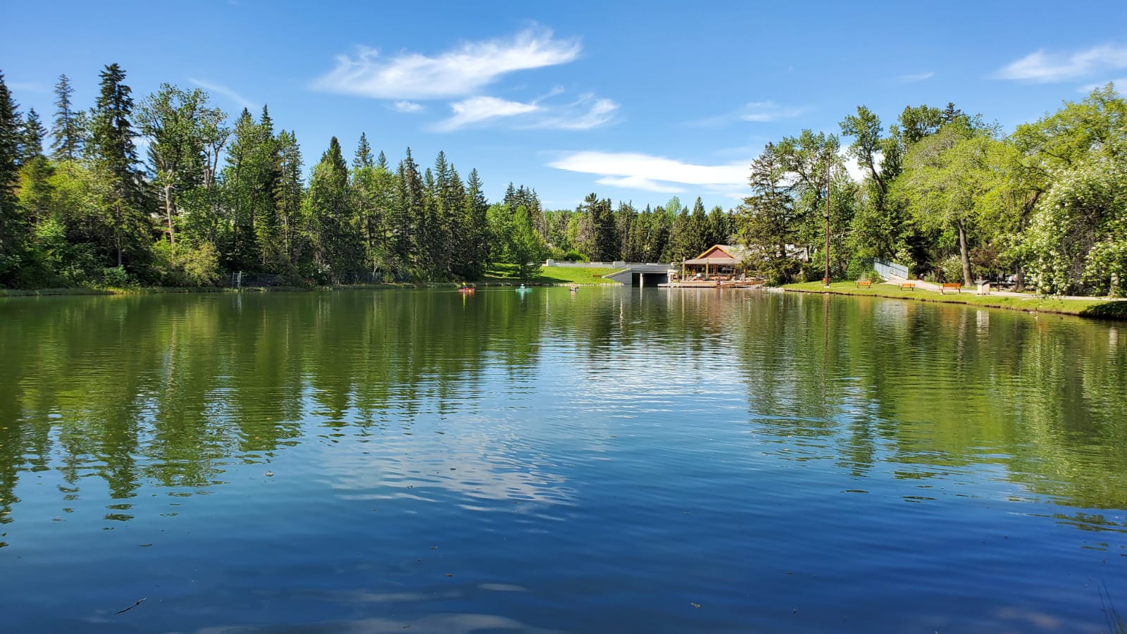 Bowness Calgary homes