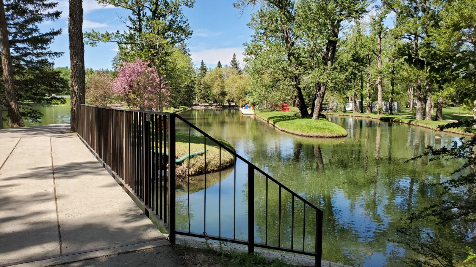 Bowness Calgary homes