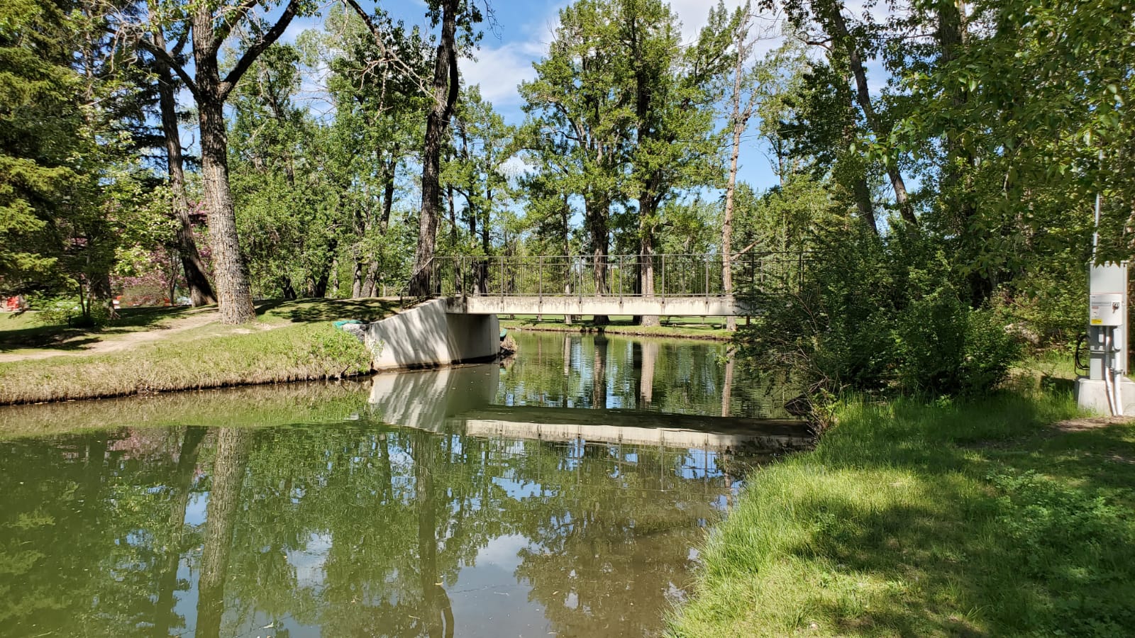 Bowness Calgary homes