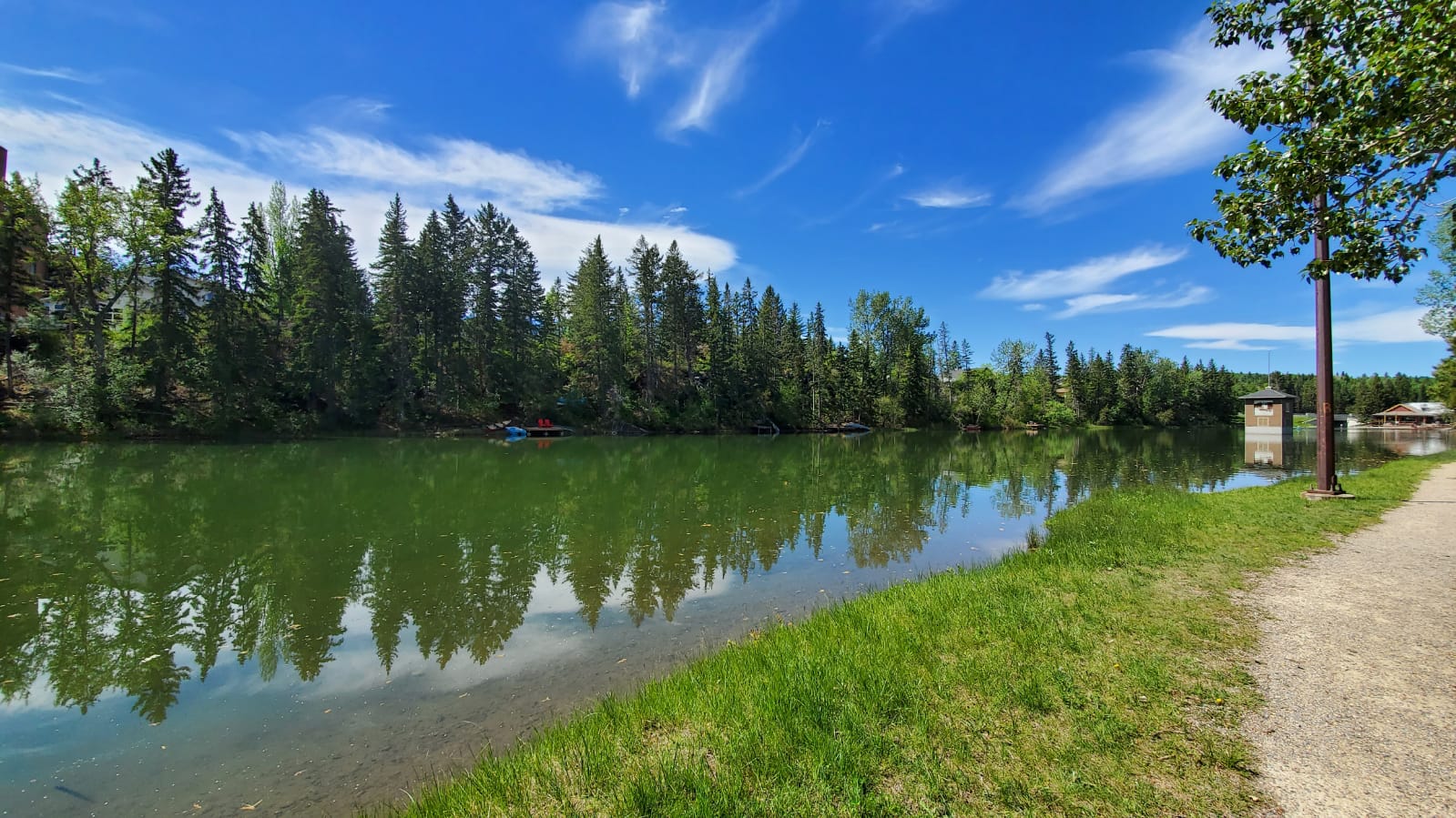 Bowness Calgary homes