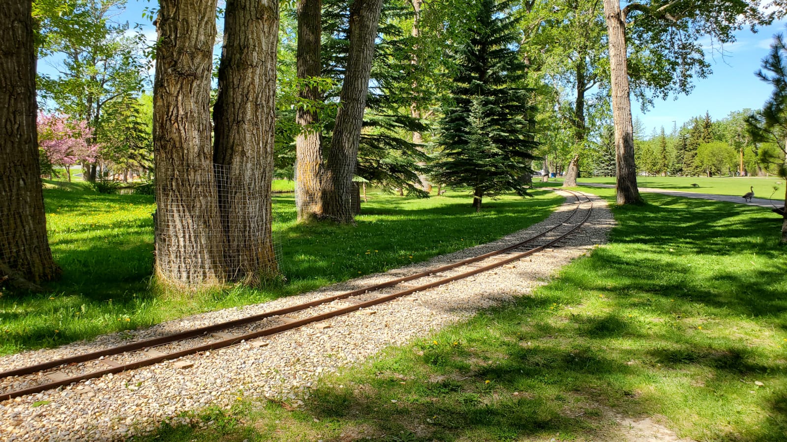 Bowness Calgary homes