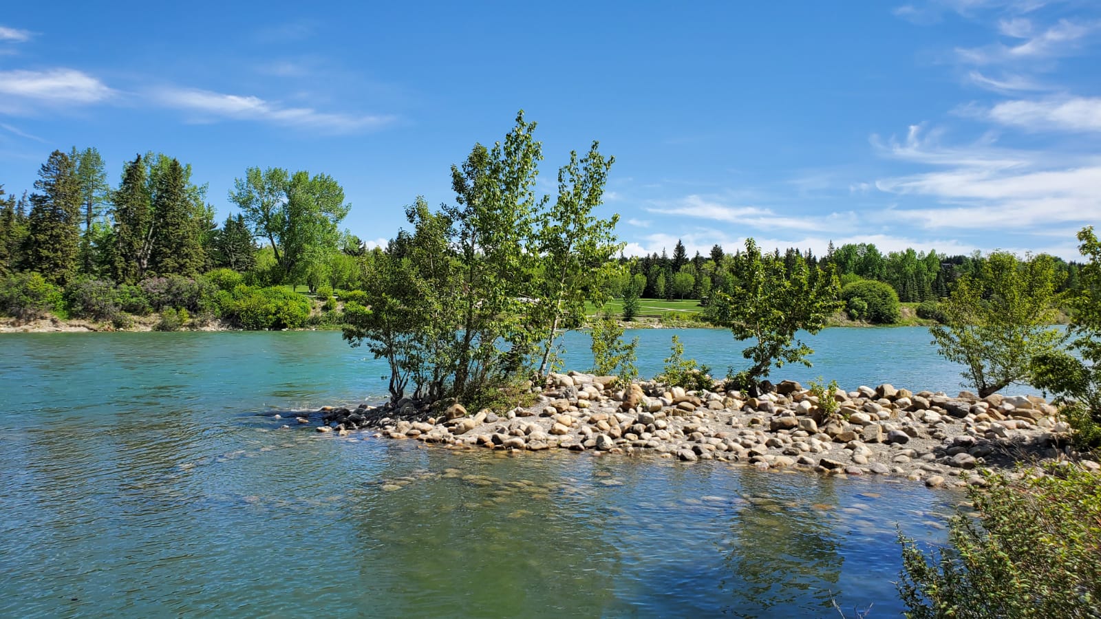 Bowness Calgary homes