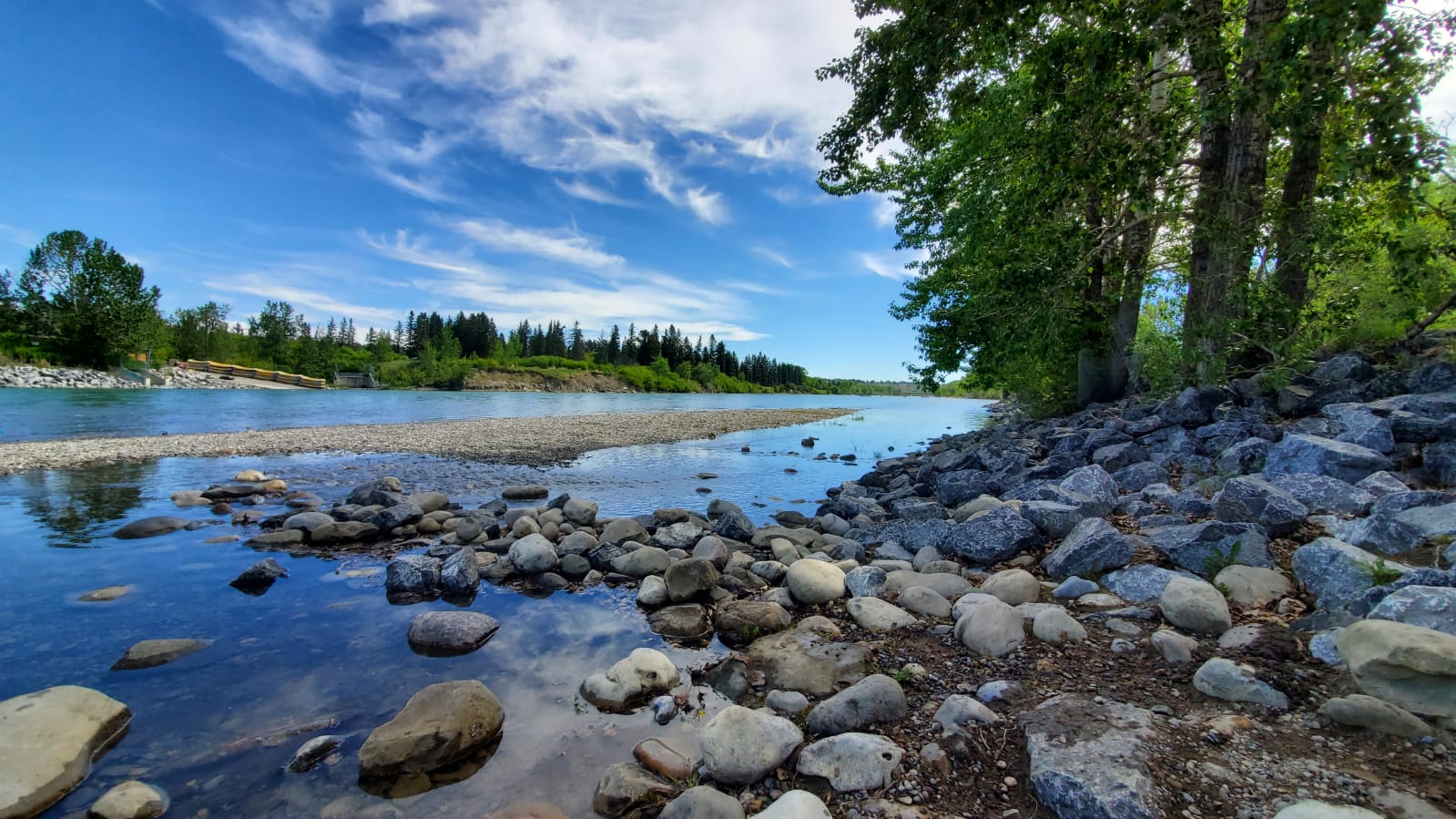 Bowness Calgary homes