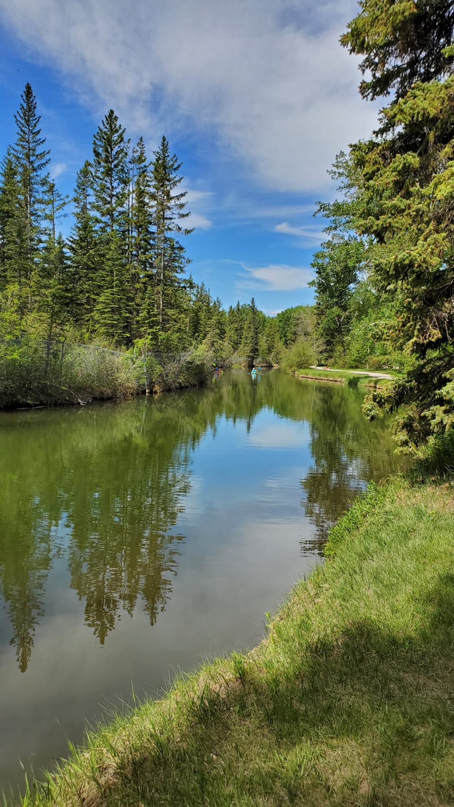 Bowness Calgary homes