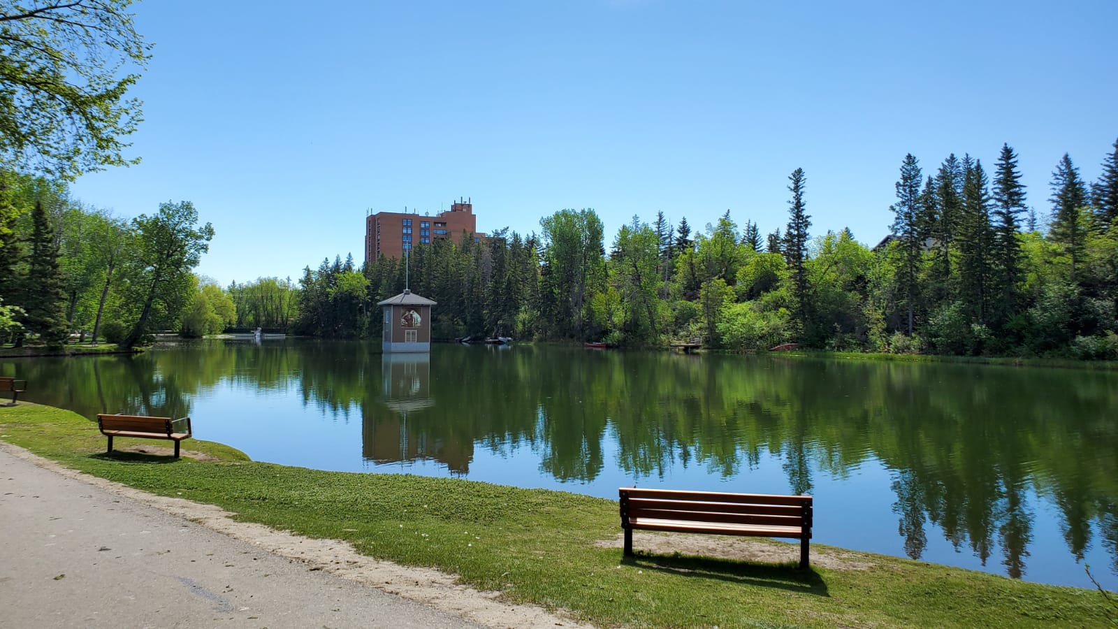 Bowness Calgary homes