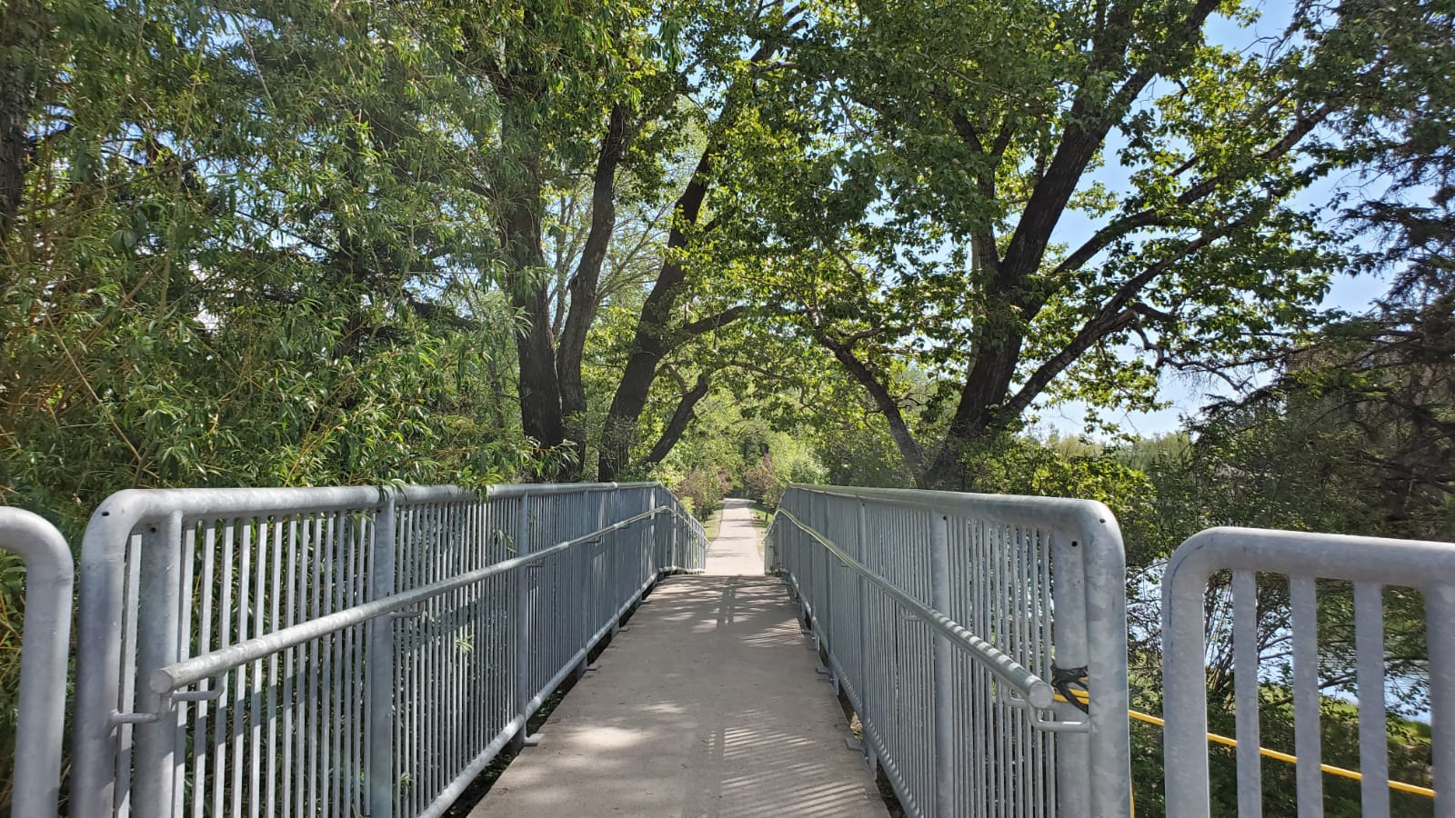 Bowness Calgary homes