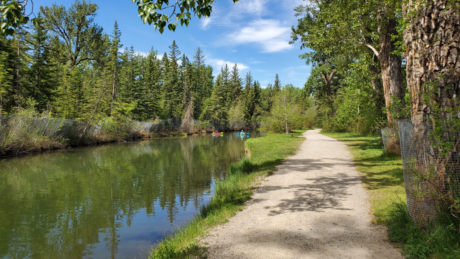 Bowness Calgary homes