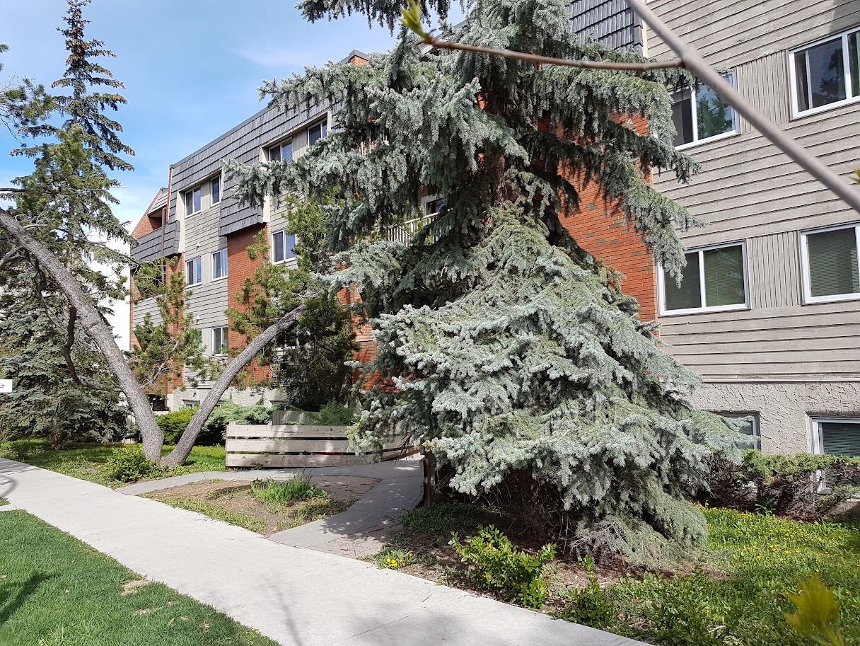 Crescent Heights Real Estate