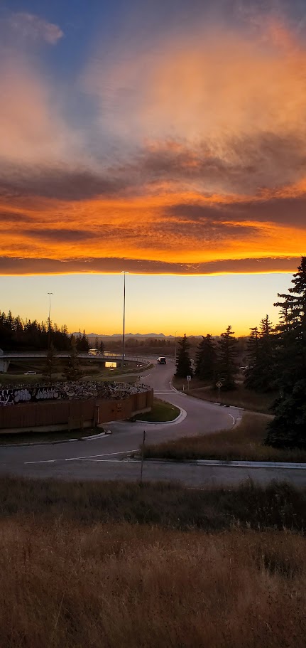 Mayfair Calgary Realtor