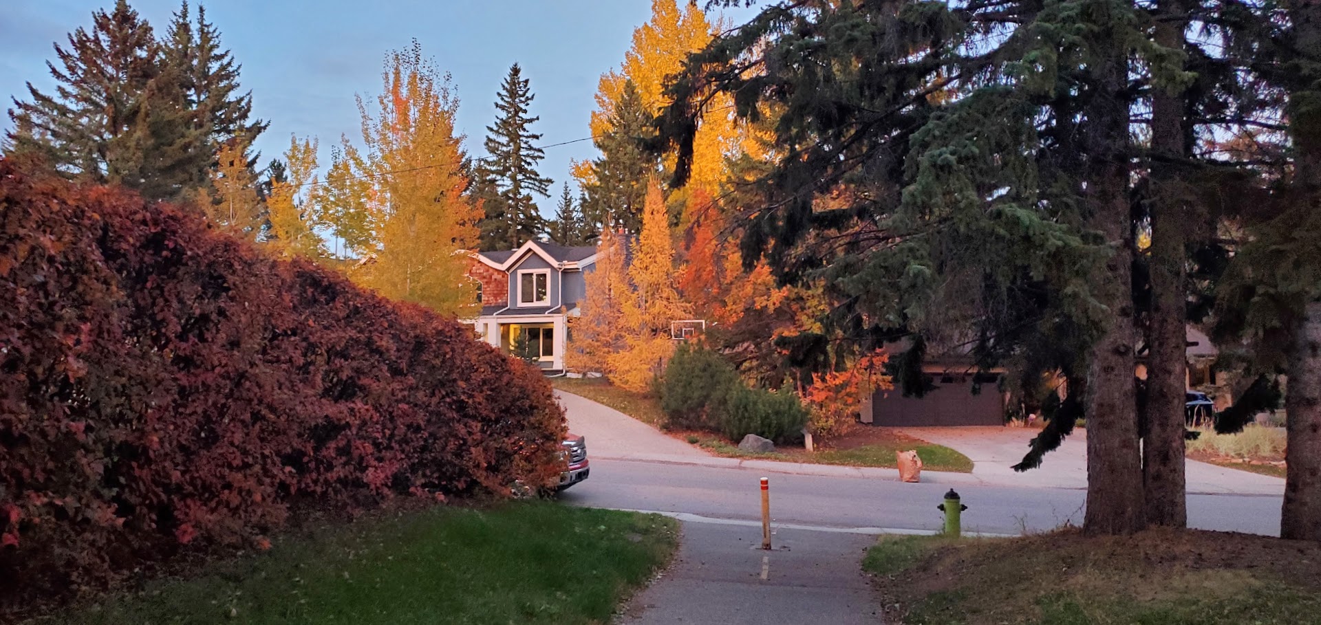 Mayfair Calgary Realtor