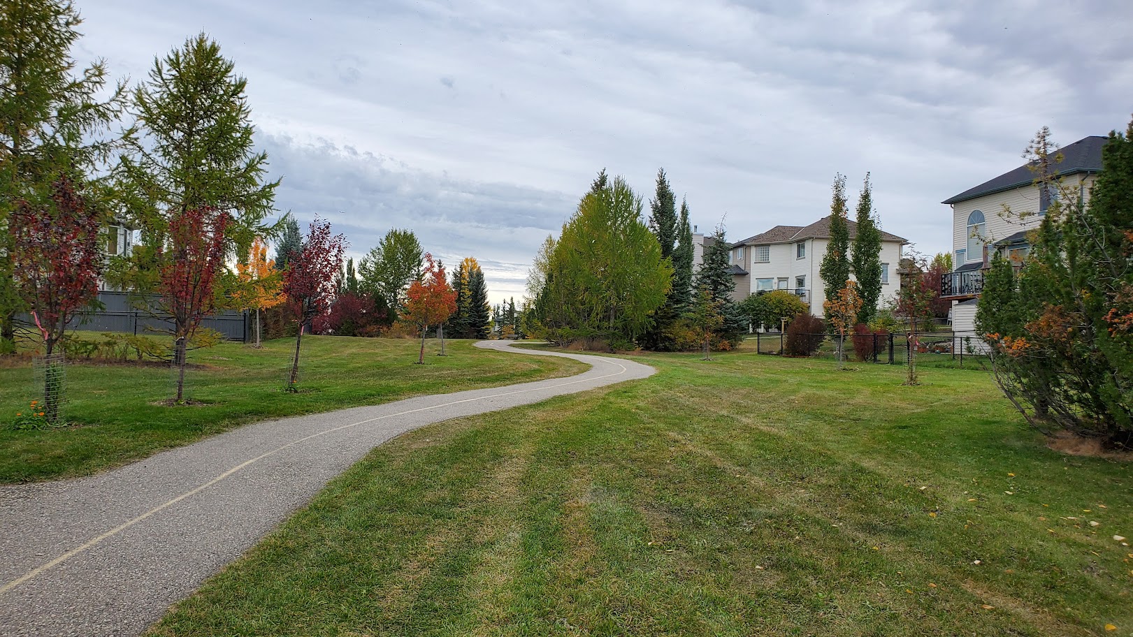 Millrise Real Estate