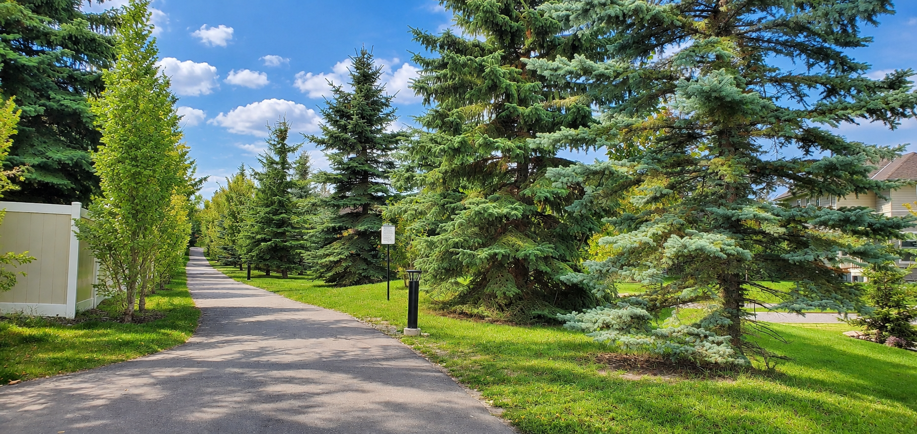 Shawnessy and Shawnessy Slopes Homes for Sale, Community info, Average Home Prices, Photos
