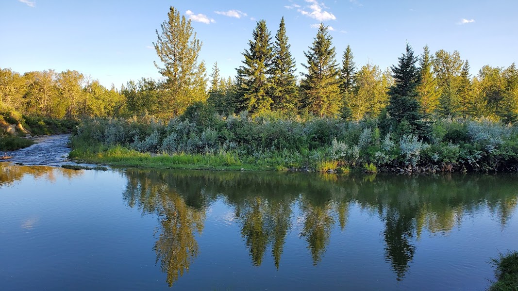 🌿 The Best Parks in Calgary: Nature, Recreation & City Escapes
