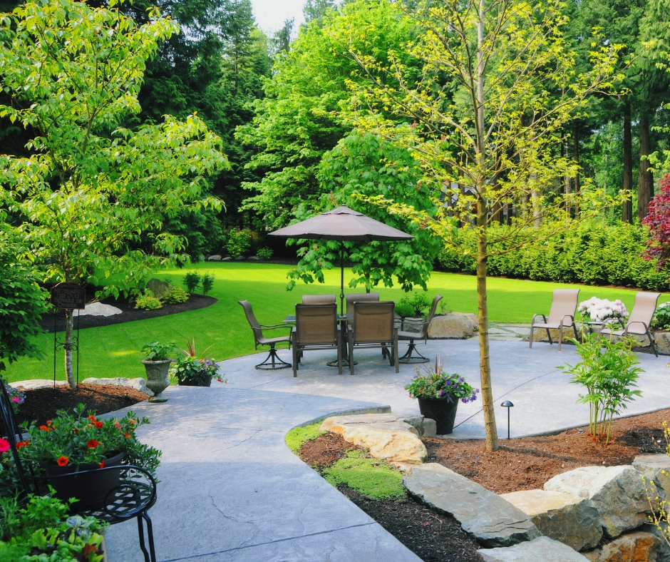 🌳 The Best (and Worst) Trees for Calgary Yards