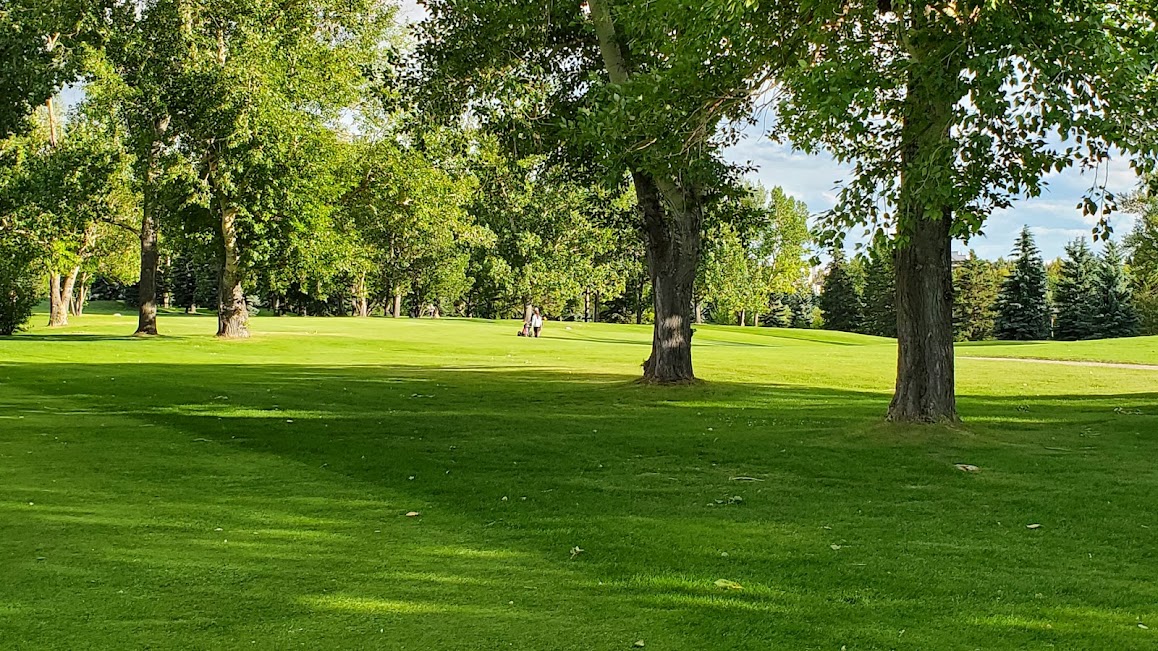 Par3 and Executive GOLF IN AND AROUND CALGARY